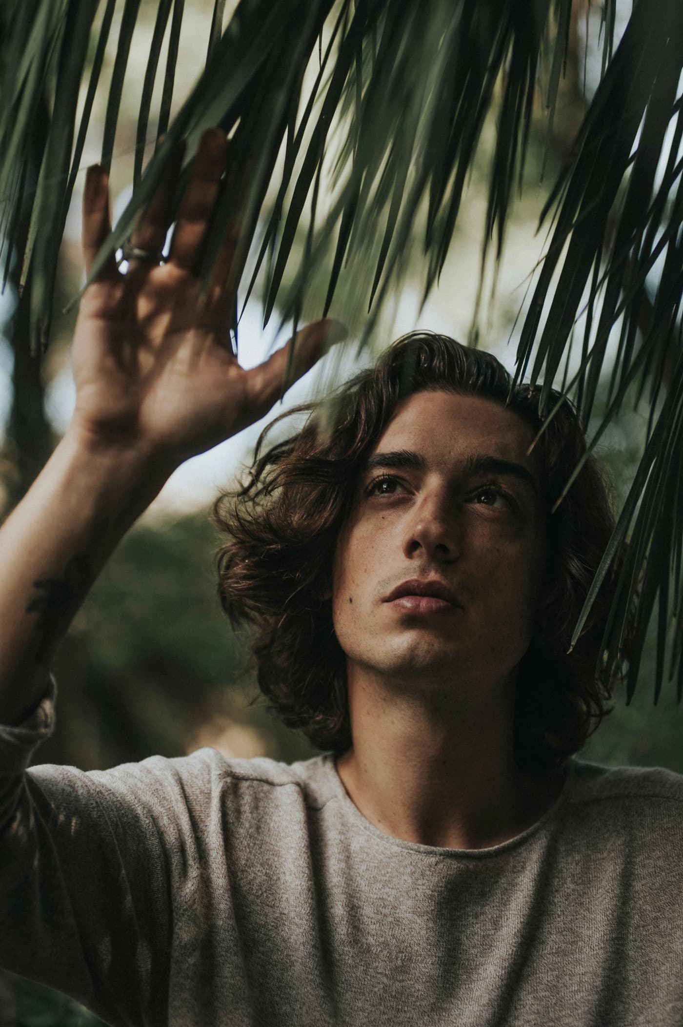 Rafael C. portrait